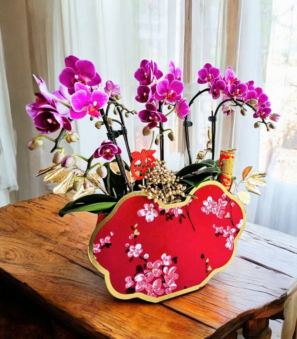 精品蘭花_ 吉祥如意組盆-實拍圖片