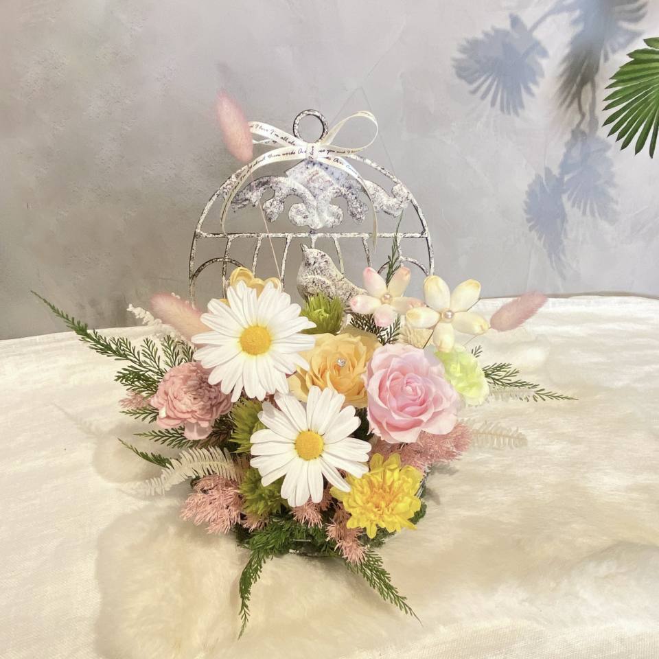 小雛菊的秘密花園-實拍圖片