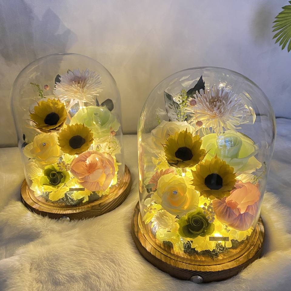 厄瓜多永生向日葵 黃綠色系-實拍圖片