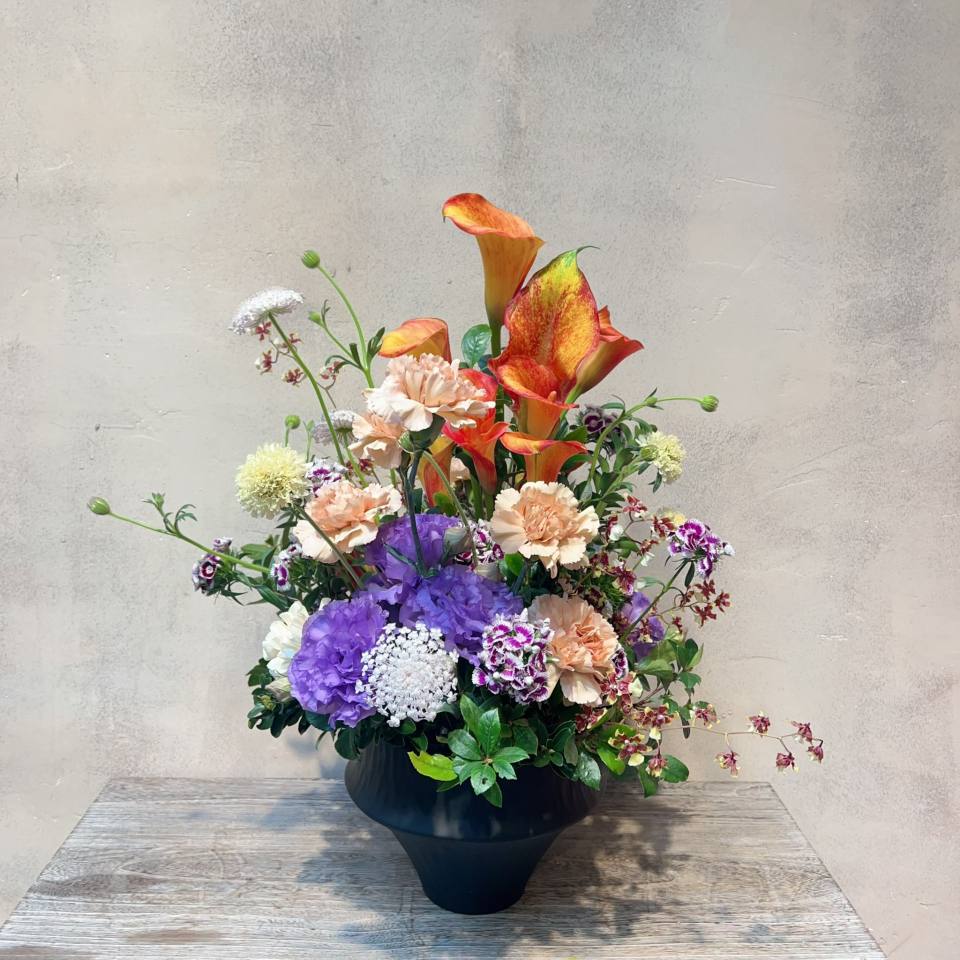 步步高昇-實拍圖片