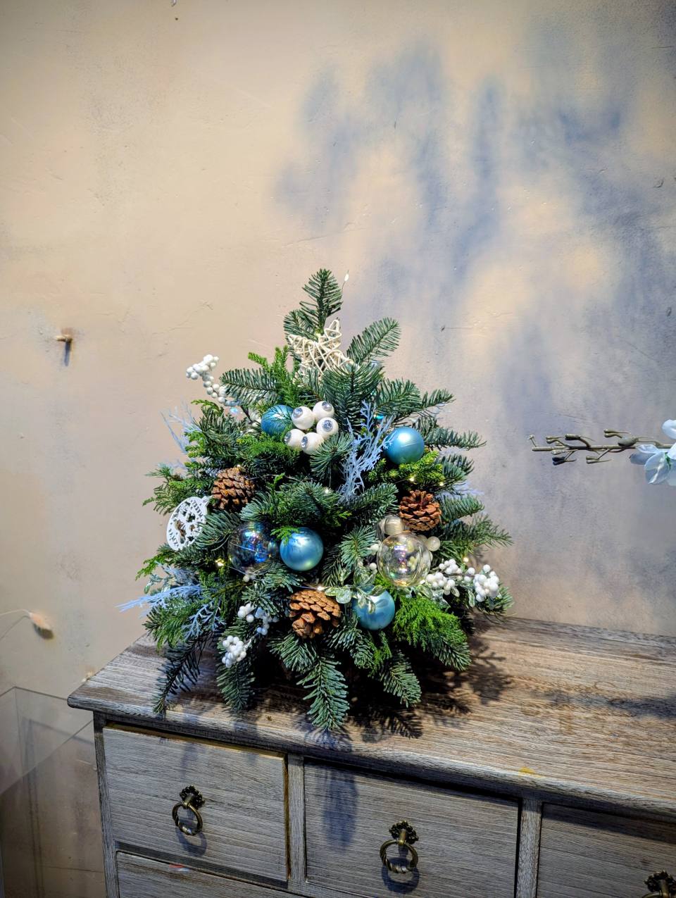 藍色極光諾貝松聖誕樹-實拍圖片