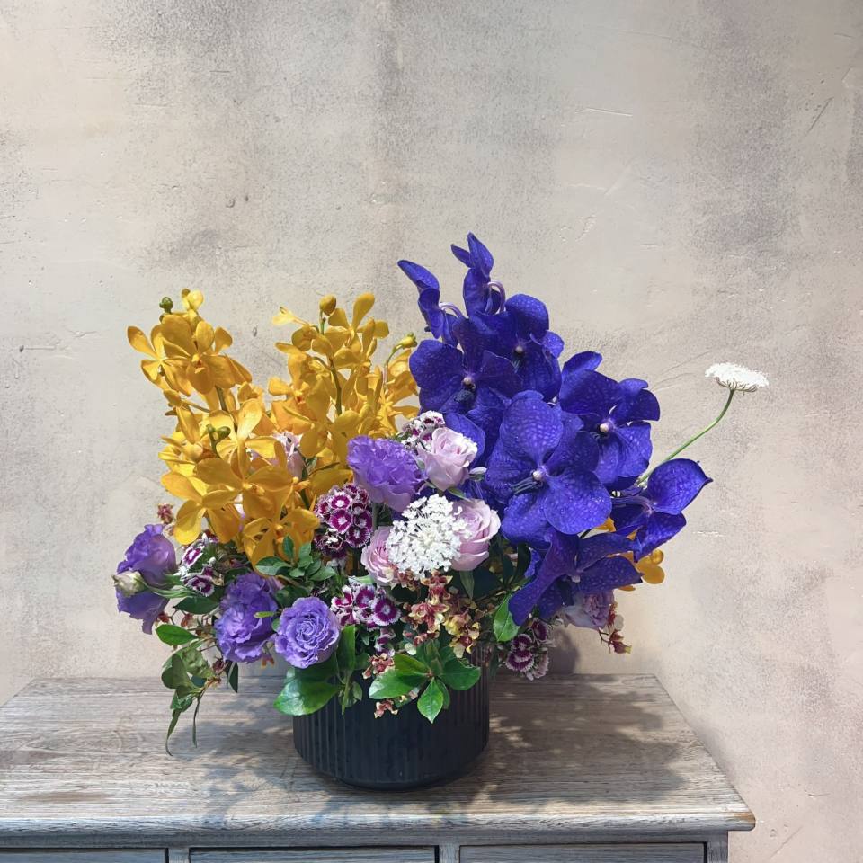 紫金盆花-實拍圖片