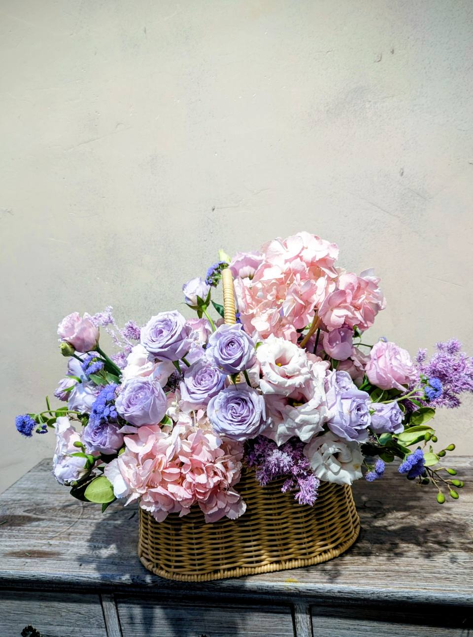 紫精靈-實拍圖片