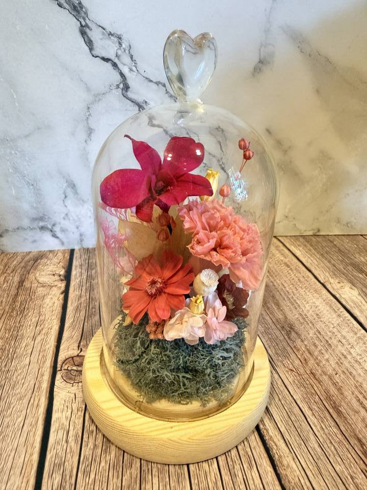 永生石斛蘭繽紛桃色百日草康乃馨玻璃罩-實拍圖片
