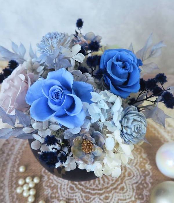 圓滾滾(藍)-實拍圖片