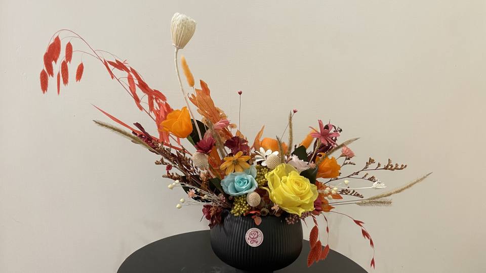 秋季豐收-實拍圖片