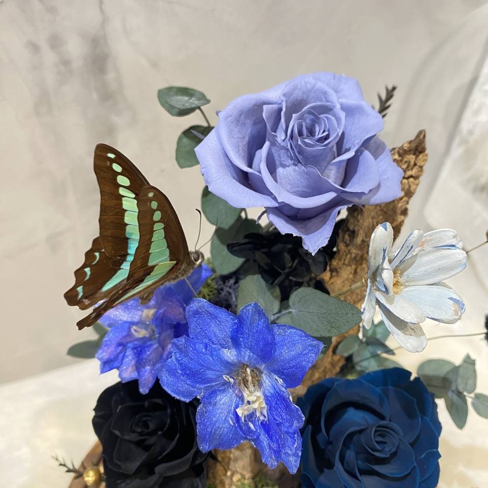 森呼吸 永生花 夜燈 蝴蝶標本-實拍圖片