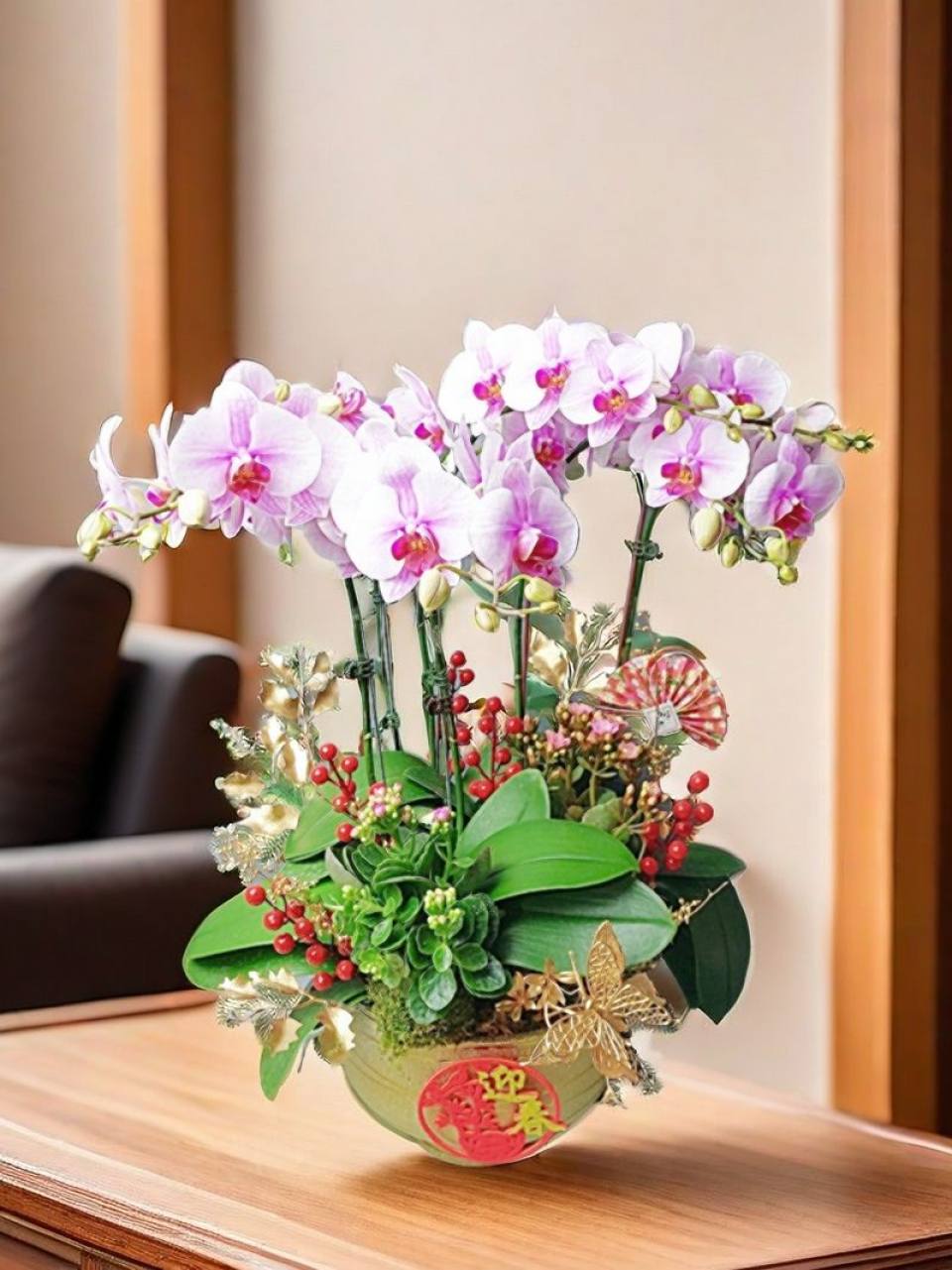 【新年開運蝴蝶蘭】-實拍圖片
