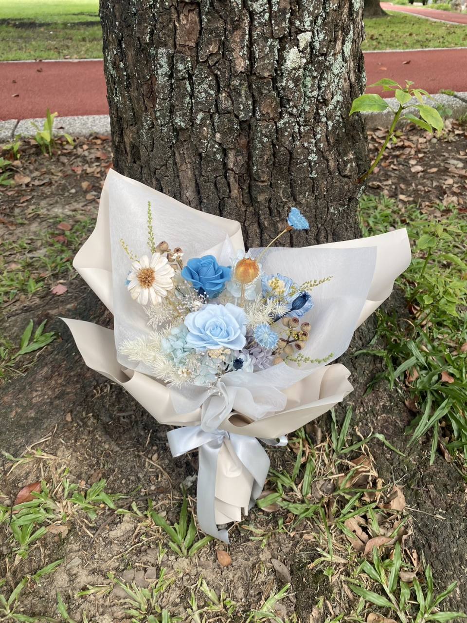 自由的海洋-實拍圖片