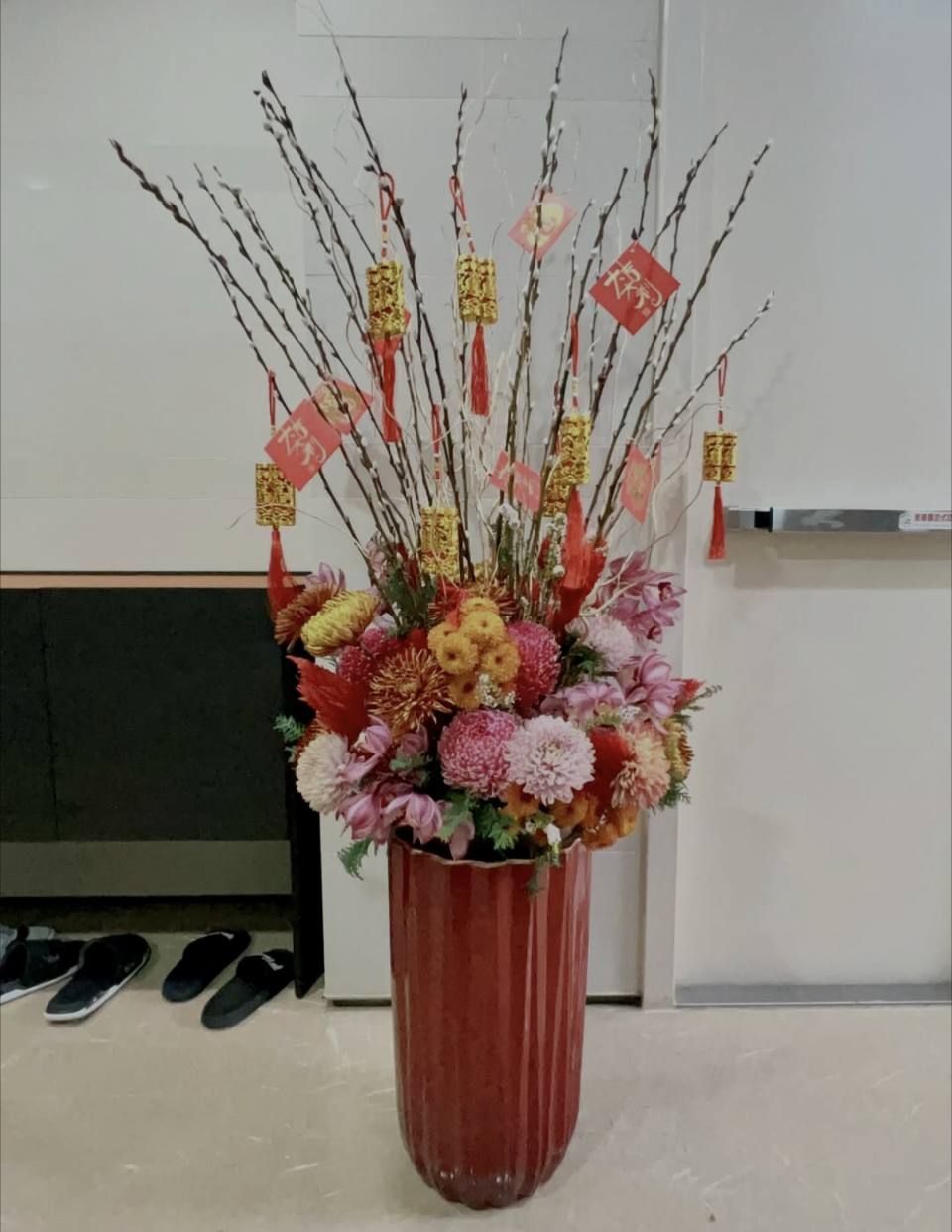 落地大型銀柳地-實拍圖片