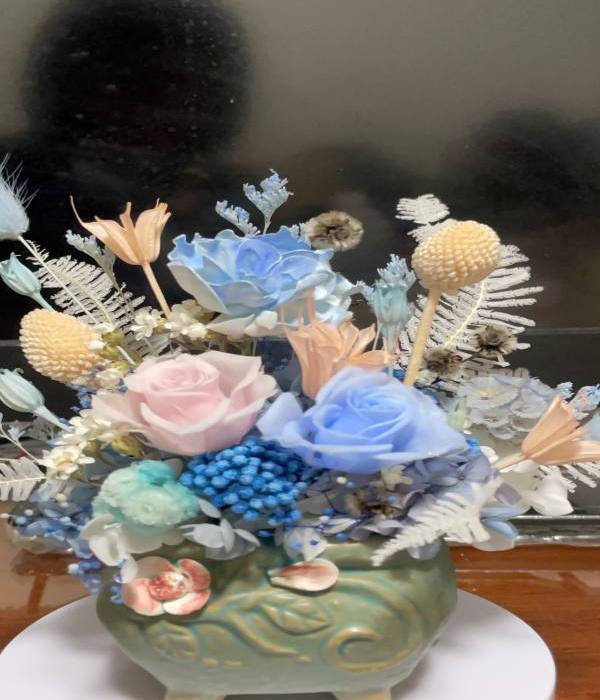 藍色小精靈-實拍圖片