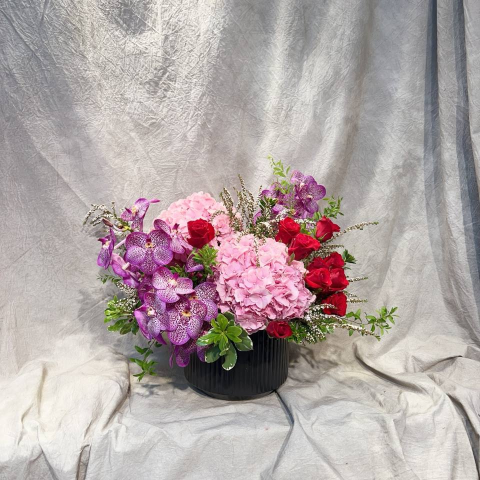 喜洋洋-實拍圖片