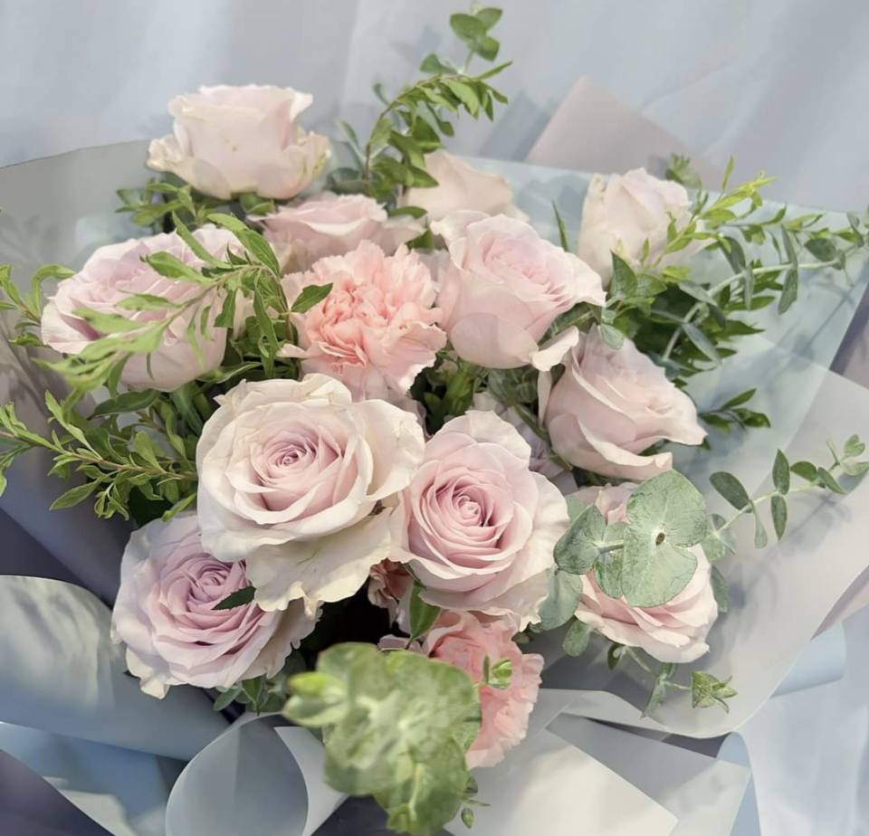 夢幻紫羅蘭-實拍圖片