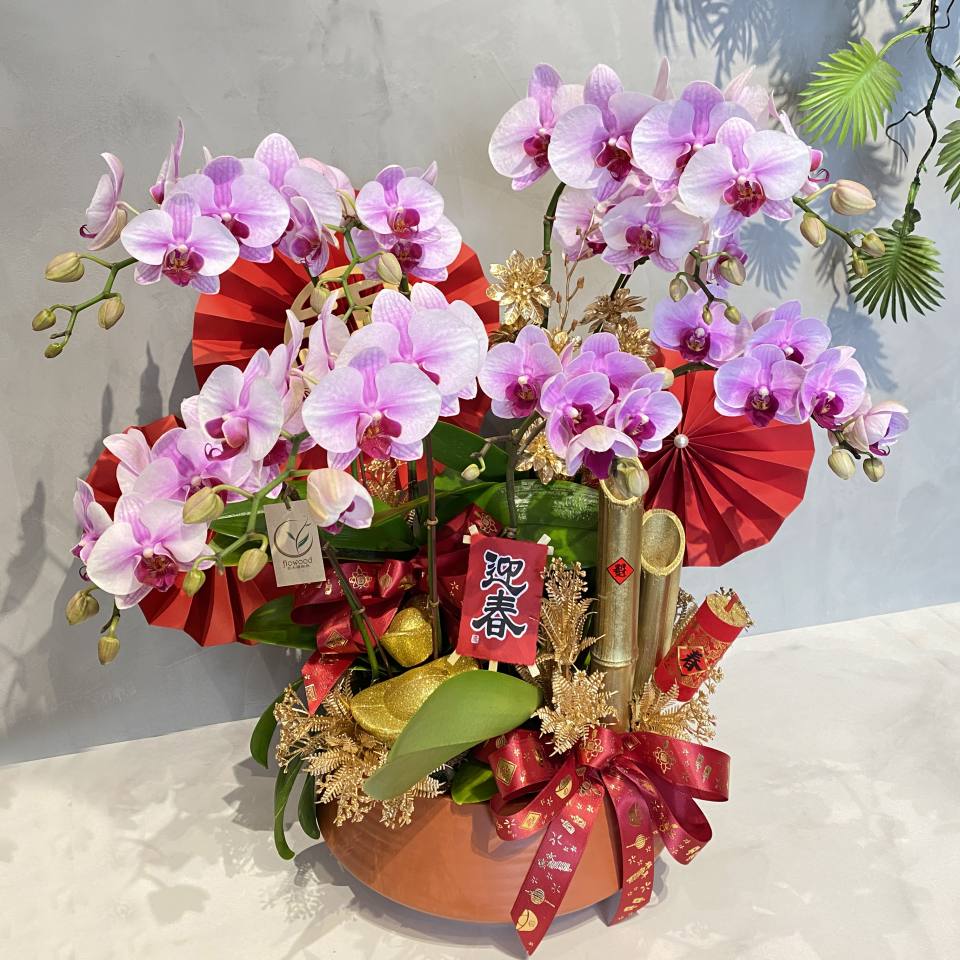 氣宇非凡蘭花盆組 配飾可調整-實拍圖片