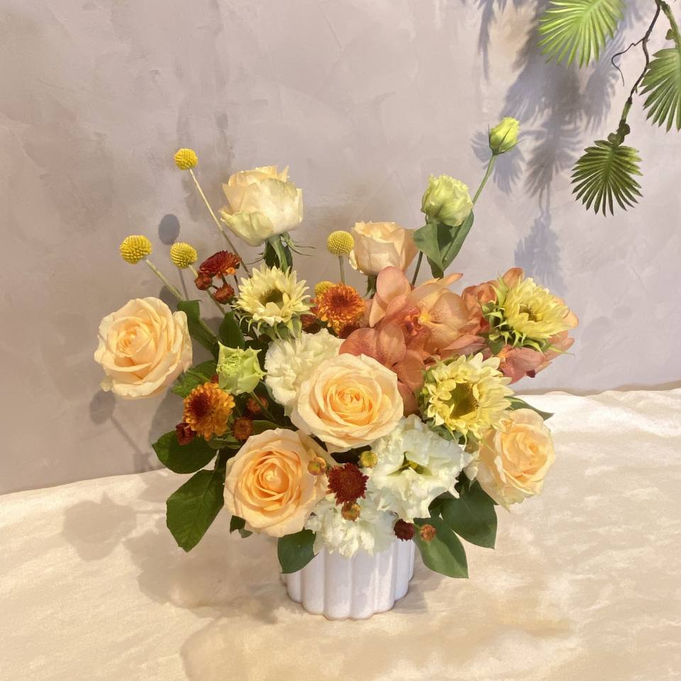 活力滿滿 鮮花盆花-實拍圖片