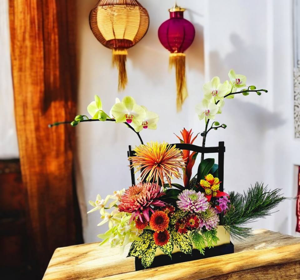 精品蘭花組盆年節花提籃-實拍圖片