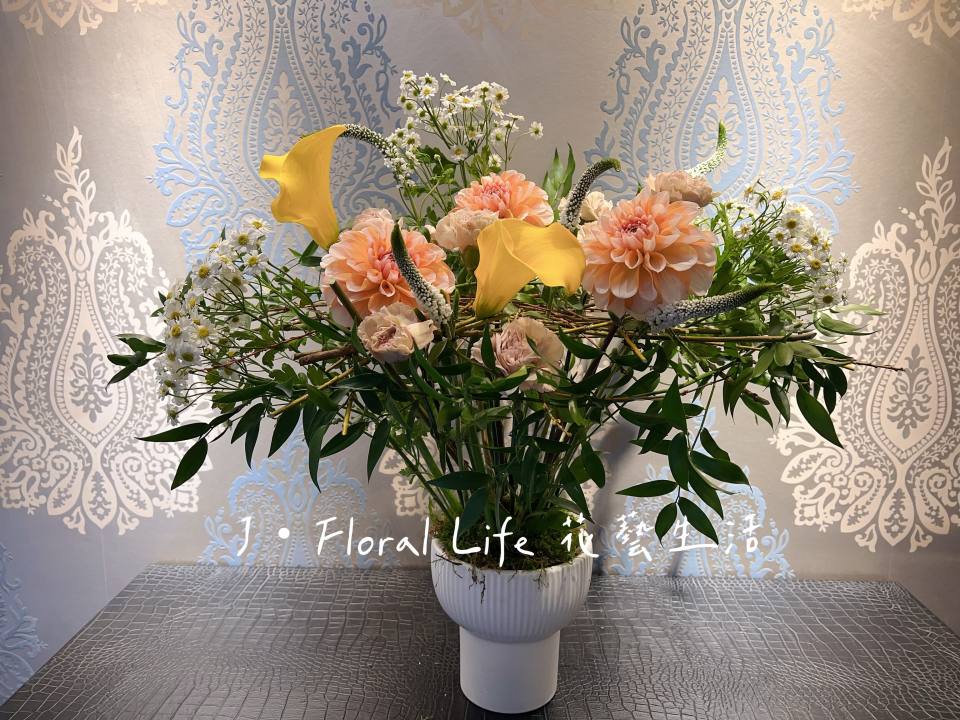 欣欣向榮-實拍圖片