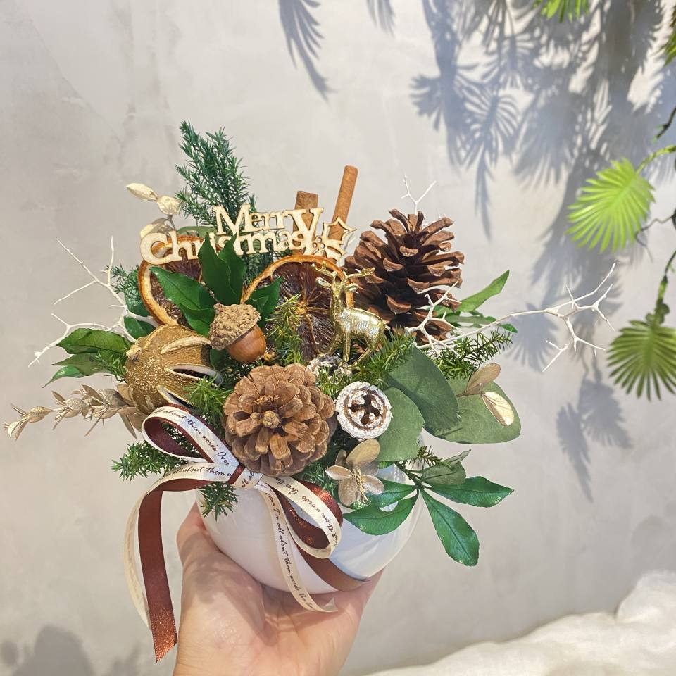 果香聖誕盆-實拍圖片