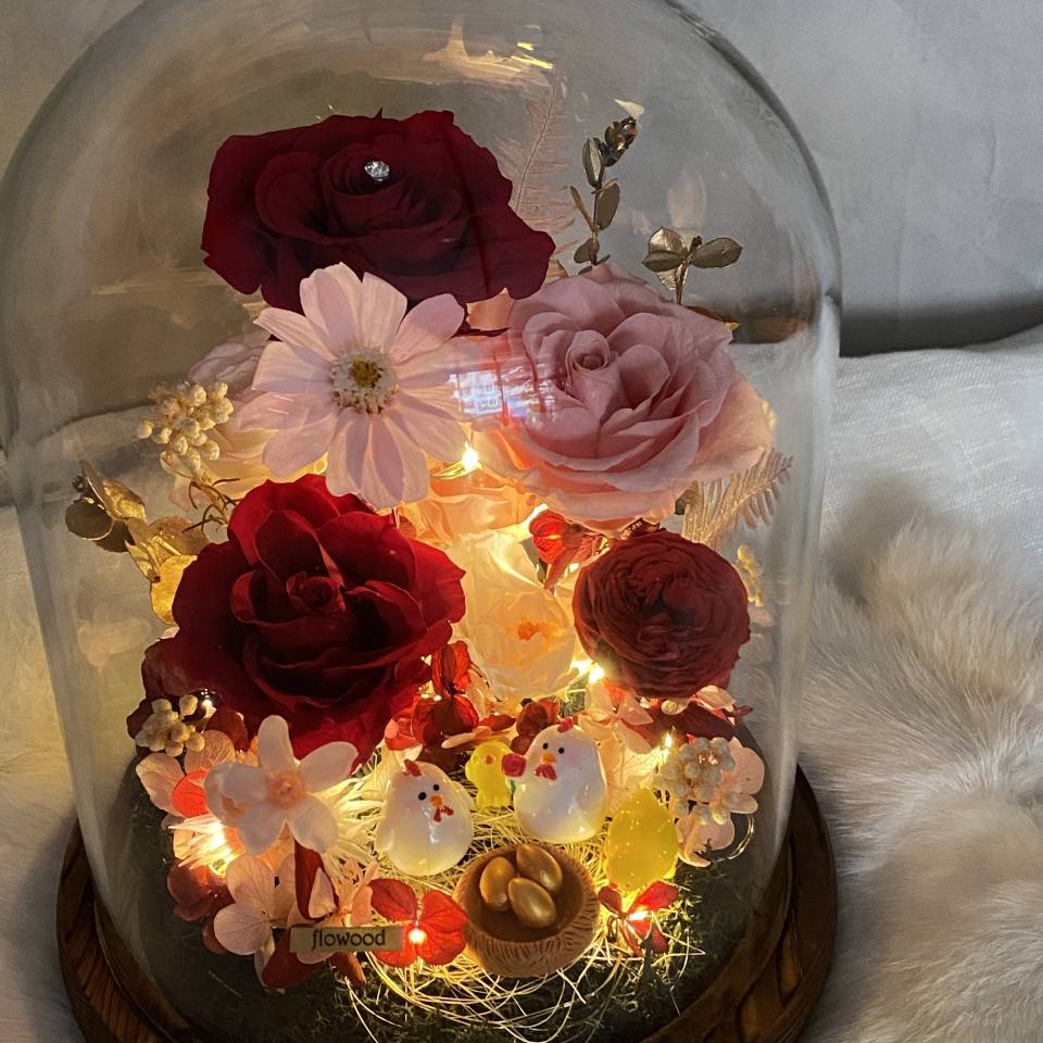 帶路雞 起家雞 紅粉色系-實拍圖片