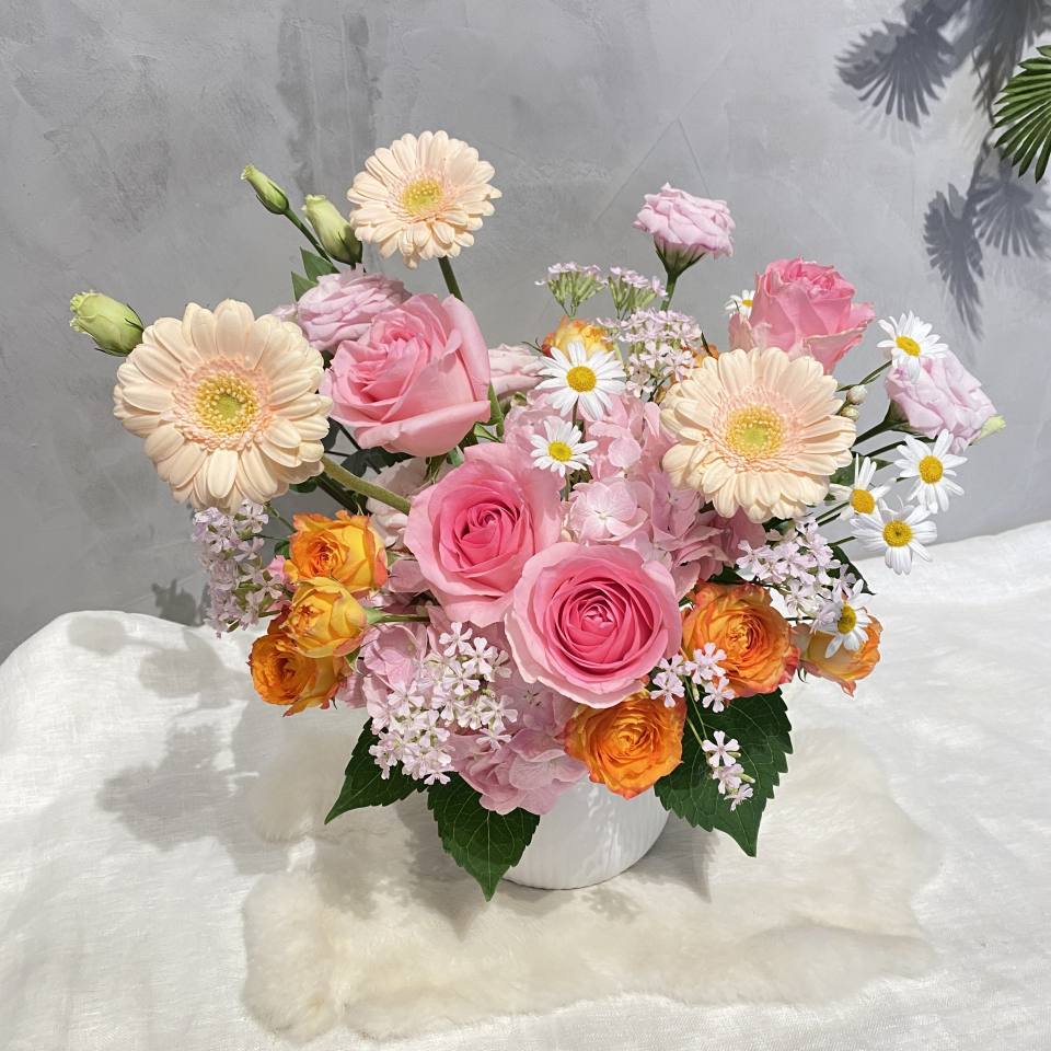 春暖花開 粉橘色鮮花盆花-實拍圖片