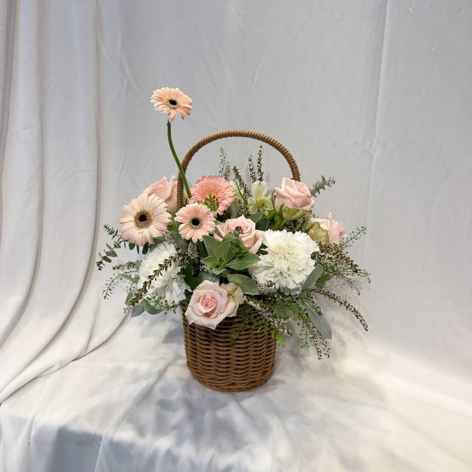 陽光提籃花-實拍圖片