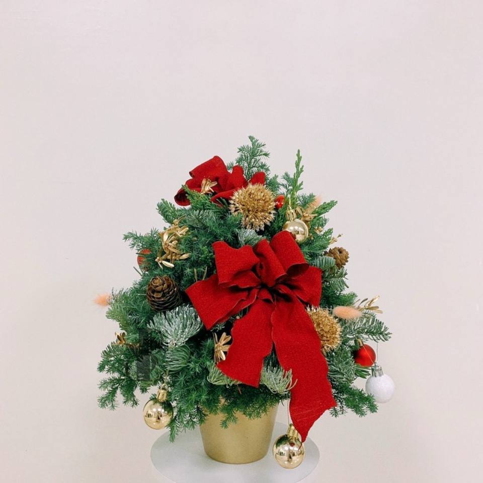 聖誕樹-實拍圖片