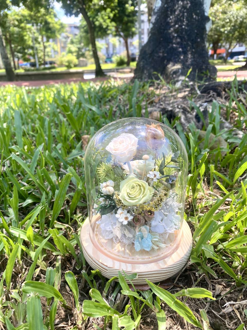 森林的呼喚-實拍圖片