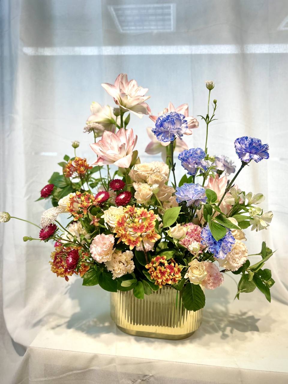 多彩盆花-實拍圖片