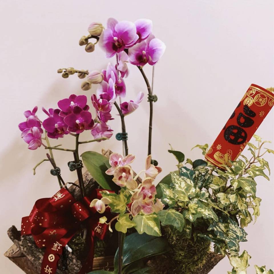 木製壁掛蘭花-實拍圖片