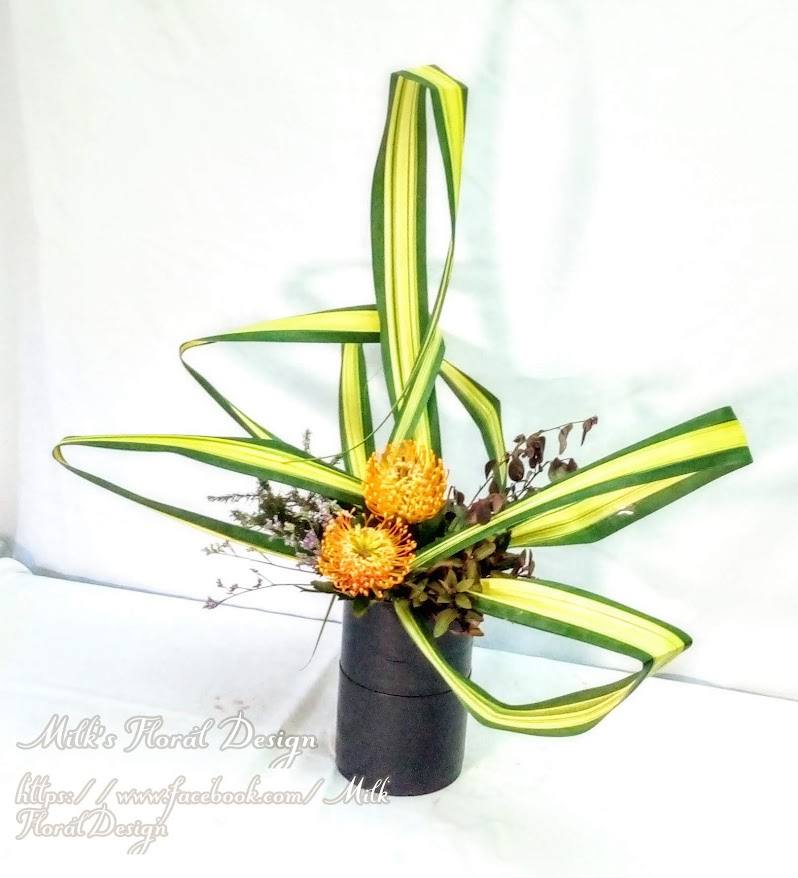 新西蘭葉的設計-實拍圖片