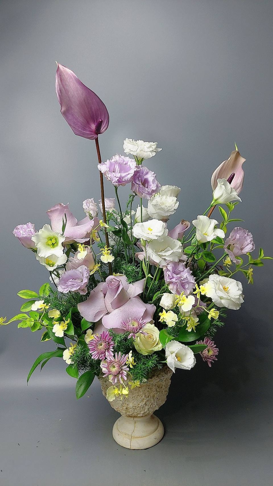 優雅的盆花-實拍圖片