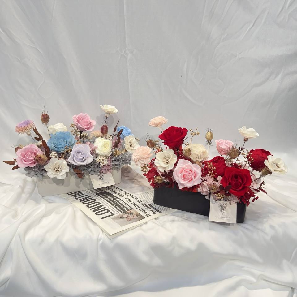 小長方永生盆花-實拍圖片