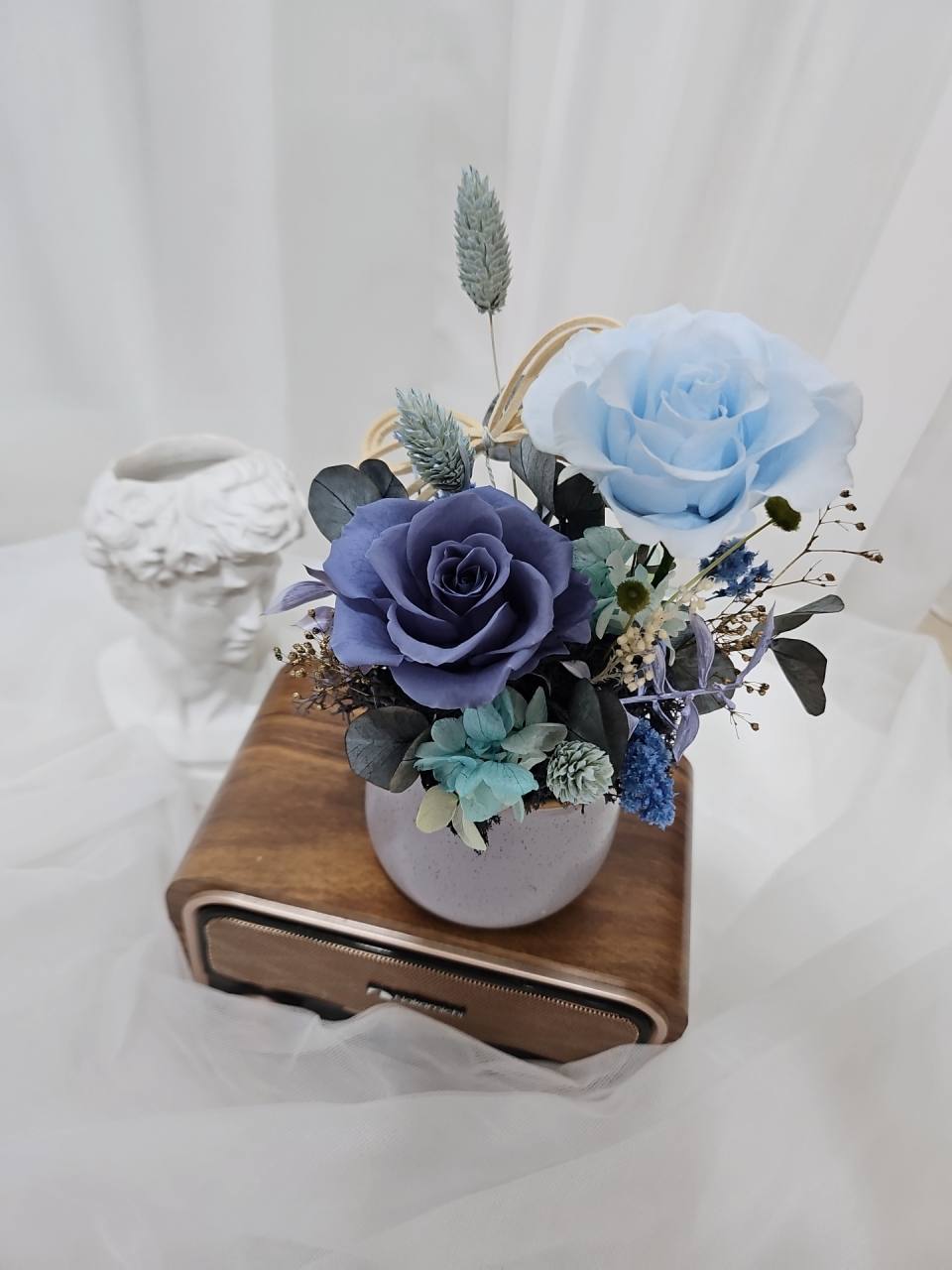 小盆花-實拍圖片