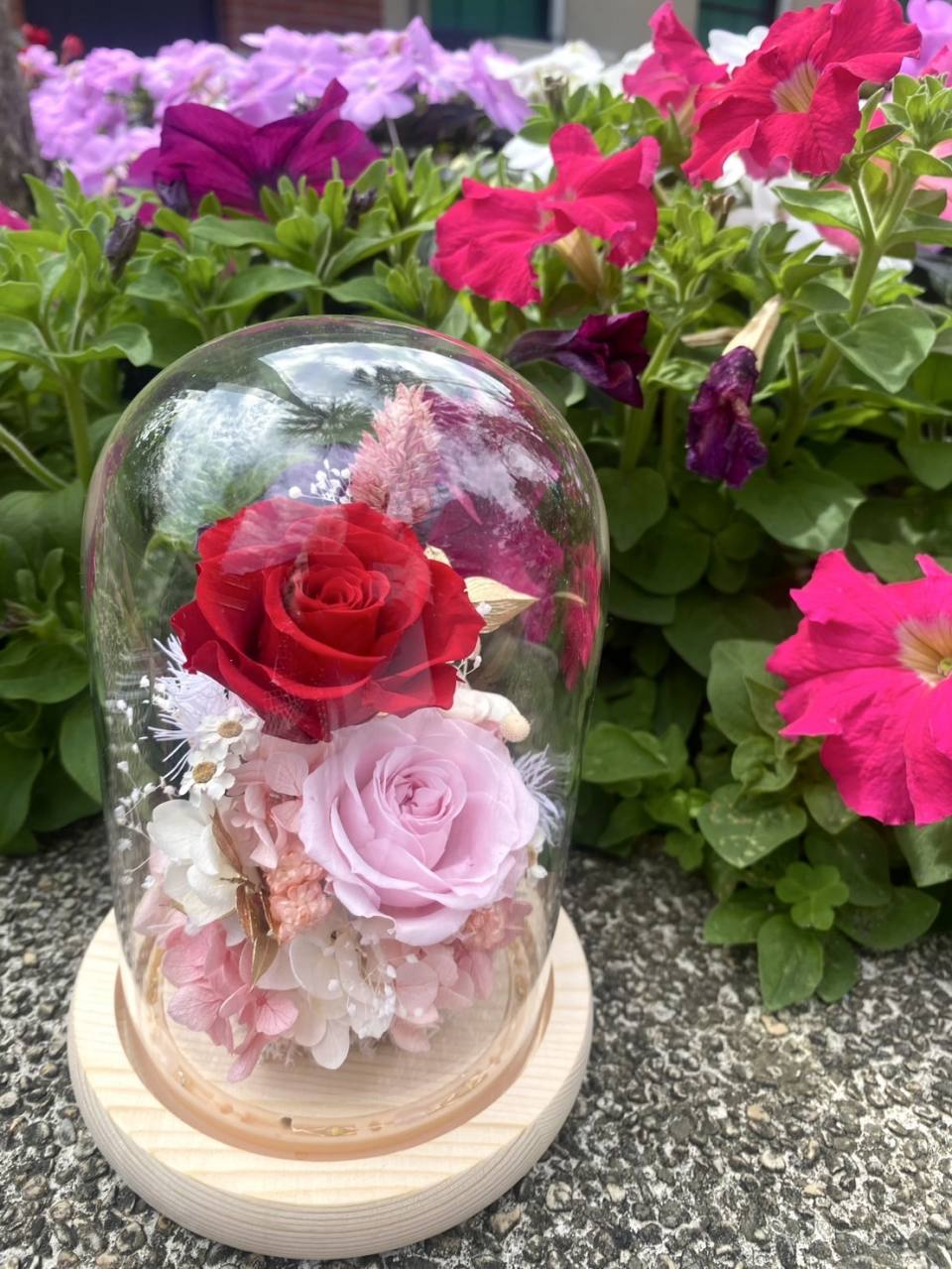 溫柔的愛-實拍圖片