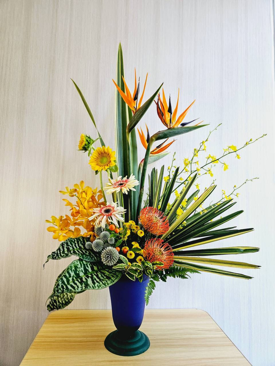 天堂鳥玄關花-實拍圖片