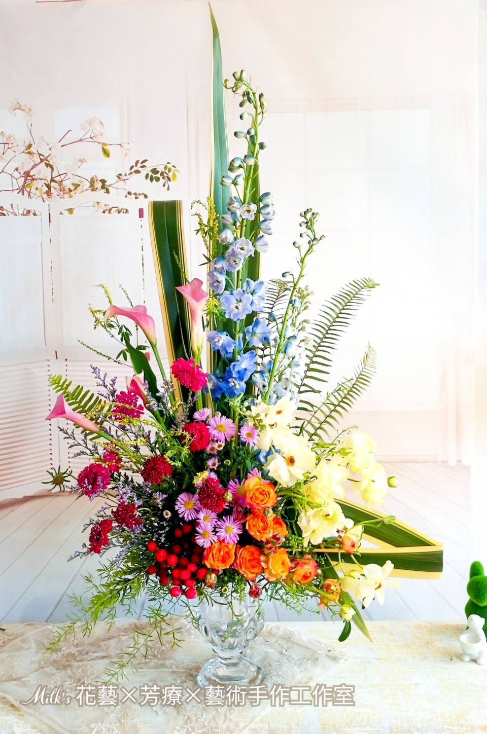 玄關花-實拍圖片