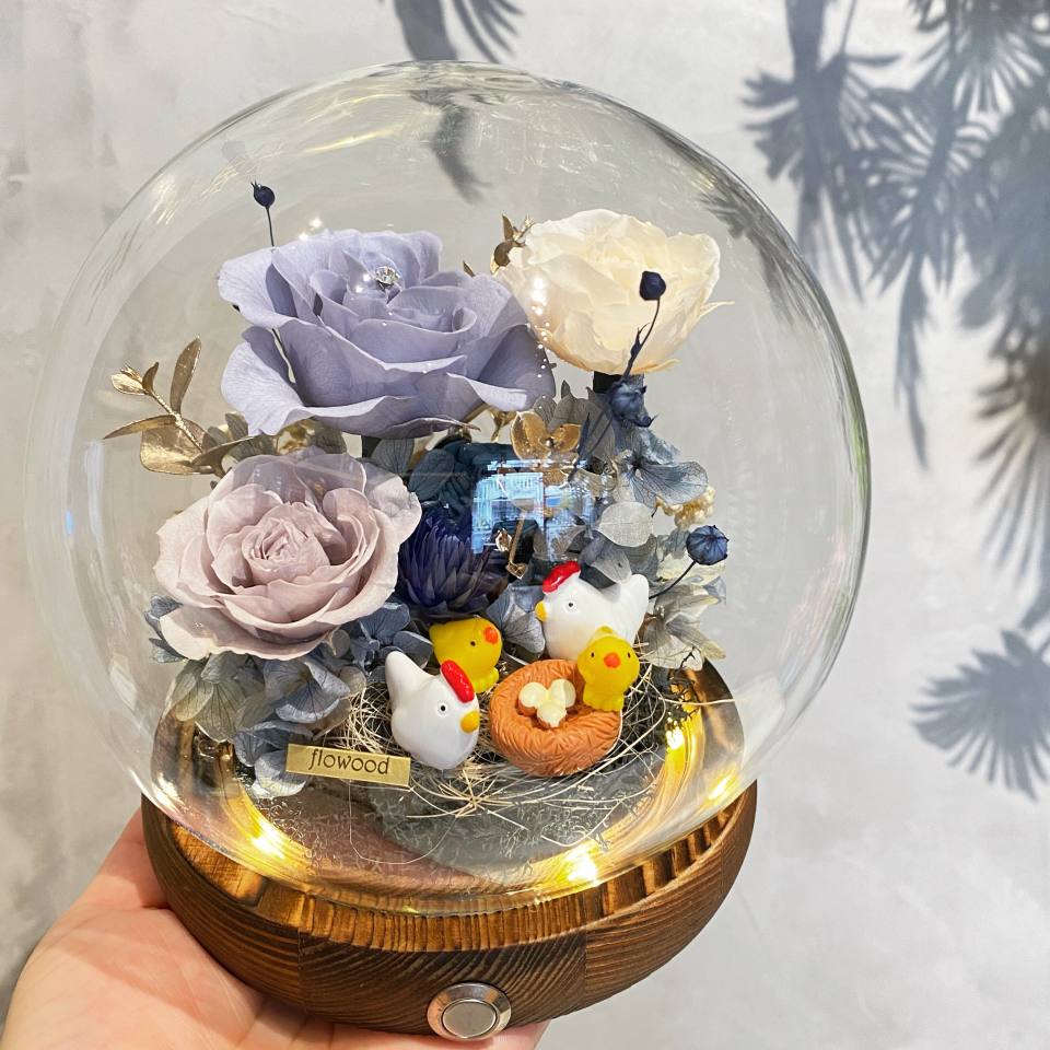 帶路雞 起家雞 莫蘭迪藍-實拍圖片