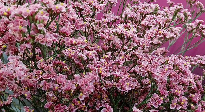 水晶花 粉鑽 實拍圖片4