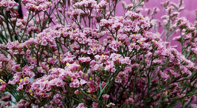 水晶花 粉鑽 實拍圖片3
