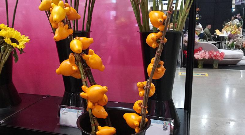 切葉類牛頭茄花材實拍圖